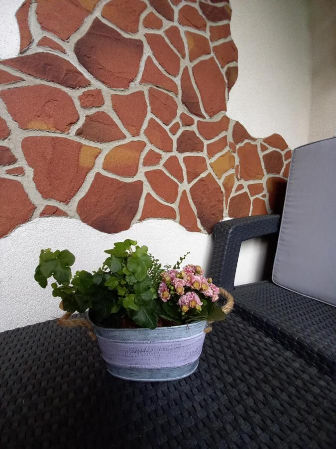 Apartman Erika - Besenova Bagian luar foto