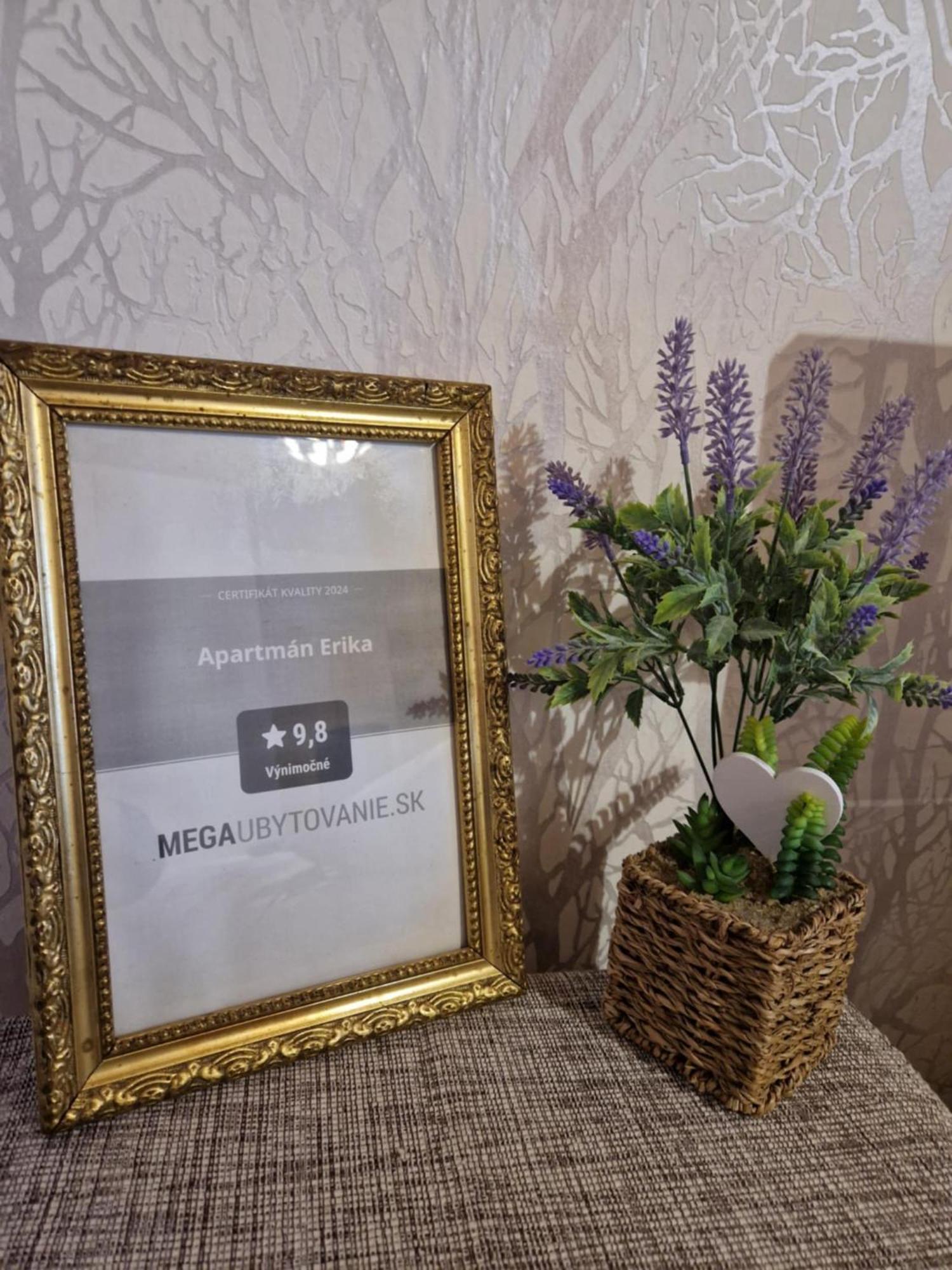 Apartman Erika - Besenova Bagian luar foto